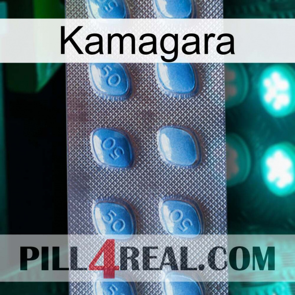 Kamagara viagra3.jpg